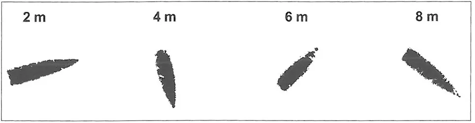 Рис.6. Значительные нутационные колебания пули на начальном участке Рис.6. Значительные нутационные колебания пули на начальном участке